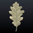 Oak_Leaf-02.jpg Oak Leaf