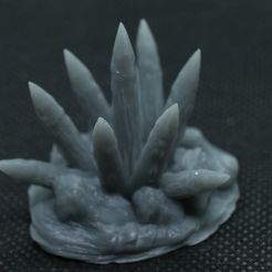 The Hedgehog (Pré-prise en charge)