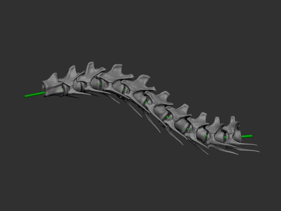 Ref_02.jpg Download file Life-size Vélociraptor skeleton Part01/05 • Template to 3D print, Inhuman_species