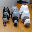 WhatsApp-Image-2023-08-26-at-16.15.08-4.jpeg Cute Cat Matryoshka