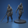 0000.png Knight Protector - TABLETOP MINIATURE
