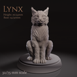 Preview1.png Lynx