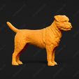 2231-Border_Terrier_Pose_03.jpg Border Terrier Dog 3D Print Model Pose 03