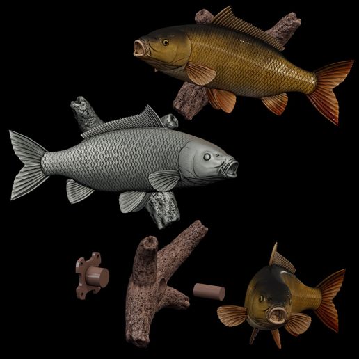 COMMON CARP  (CYPRINUS CARPIO)  fish wall sculpture branch 3d printing