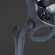 h3.png Hip Replacement model