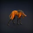 Manned_wolf_2.jpg Манедовый волк