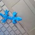 IMG_20220909_071054_465.jpg robot gecko