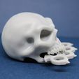 IMG_2209.JPG STL file Five Finger Death Punch Skull・3D printing template to download