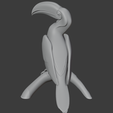 Hornbill_right.png Hornbill
