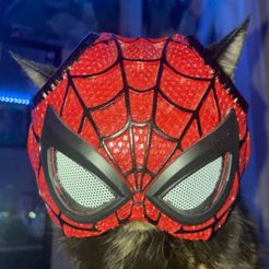 SPIDER CAT PETER PARKER - Mask