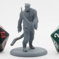 Tabaxi_Sailor_1.JPG Free STL file Tabaxi Sailor - Tabletop Miniature・Design to download and 3D print