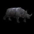 0.jpg Rhino Walk ANIMATED