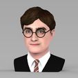 untitled.346.jpg Harry Potter bust ready for full color 3D printing
