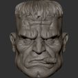 sw546546w.jpg Frankenstein action figure head