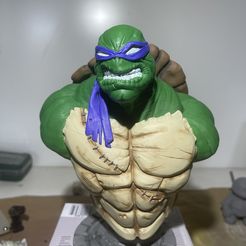 TMNT-Büste (Fankunst)