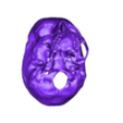Craneo v2.stl Anatomical skull (Adult) 3 magnetic pieces