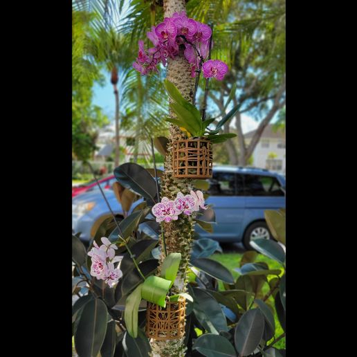 Butterfly & Dragonfly Themed Orchid Planter Set 3D model