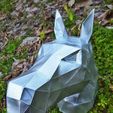 ce03c643-6883-4595-8dd5-3228d440d03d.jpg Horse's Head