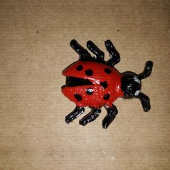 Bug