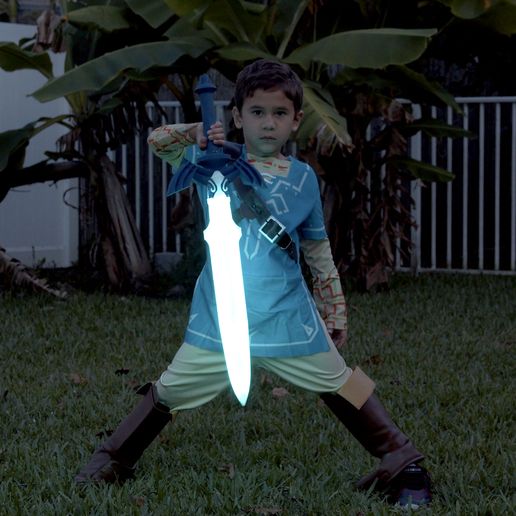 hero-gavin-night.jpg LED Zelda Master