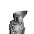 0011.jpg SPAWN FOR 3D PRINT FULL HEIGHT AND BUST