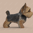YT02.png Cute Puppy Yorkshire Terrier STL and VRML