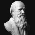 04.jpg Charles Darwin portrait sculpture 3D print model