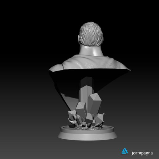4.jpg Superman Bust - Alex Ross 3D print model