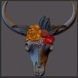 TYEY.jpg cow skull