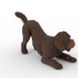 bbb4.jpg Playful Barbet Dog Figure 1/32 Scale for Slot Car Dioramas