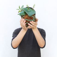 IMG_9229 copy.jpg STL file KOKEDAMA GYROID・3D print object to download