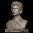 Blender_-C__Users_Tirtho_Music_blender_timothee.blend-3_7_2024-1_06_57-AM.png paul atreides bust