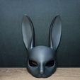 IMG_20231026_033221.jpg Bunny mask V1