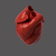 1.png HEART SEGMENTAION WITH CUT SECTIONS
