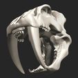 16.jpg Smilodon Skull