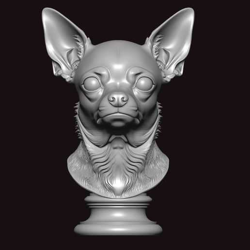 chihuahua face bust