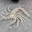 IMG_7416.jpg Flexi Esqueleto Escorpión