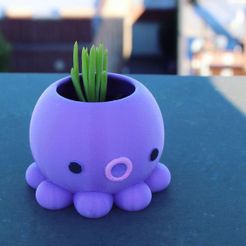 potOctopus_Ref.jpg OBJ file Pot Octopus・3D printer design to download