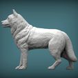 Husky4.jpg Husky 3D printed model