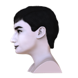 untitled.706.png Audrey Hepburn black and white bust for full color 3D printing