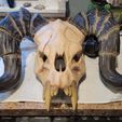 240938969_553931279064209_4049524635504156364_n.jpg Deathclaw Totenkopfmaske