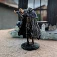 1r1.png Blaidd El Medio Lobo - ELDEN RING