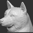 3.jpg Doge meme Shiba Inu head for 3D printing