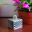 small_CrissCrossPlanter4.jpg Free STL file Star Spectrum Planter・3D printer model to download