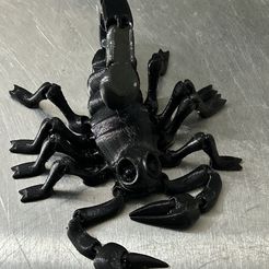 Flexi Print-In-Place Skorpion