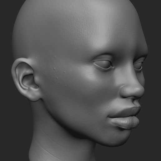 Shaneka_Texture_Sketch_22.jpg FEMALE HEAD REFENCE MODEL
