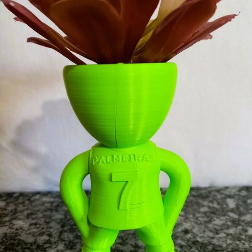 02.jpeg robert palm trees