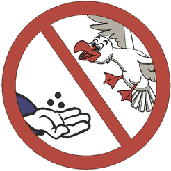 no-bird-feeding.png STL file NO BIRD FEEDING PLEASE - MMU SIGN・3D print object to download, Lammesky2D