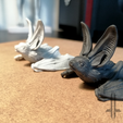 tiny5.png Tiny big eared bat