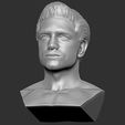 17.jpg Handsome man bust ready for full color 3D printing TYPE 1